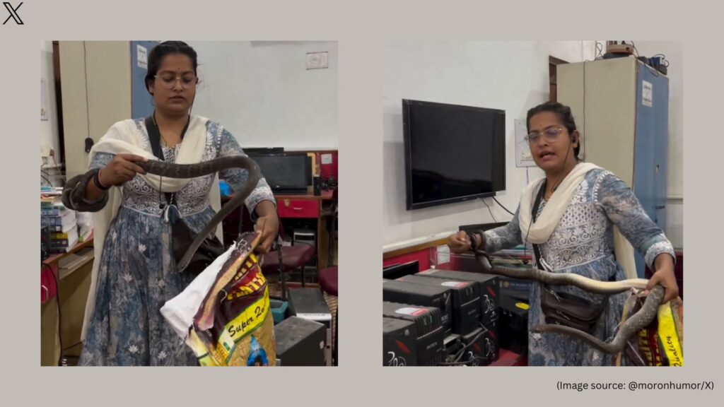 Courageous Woman Safely Removes Snake from Office, Inspires Many