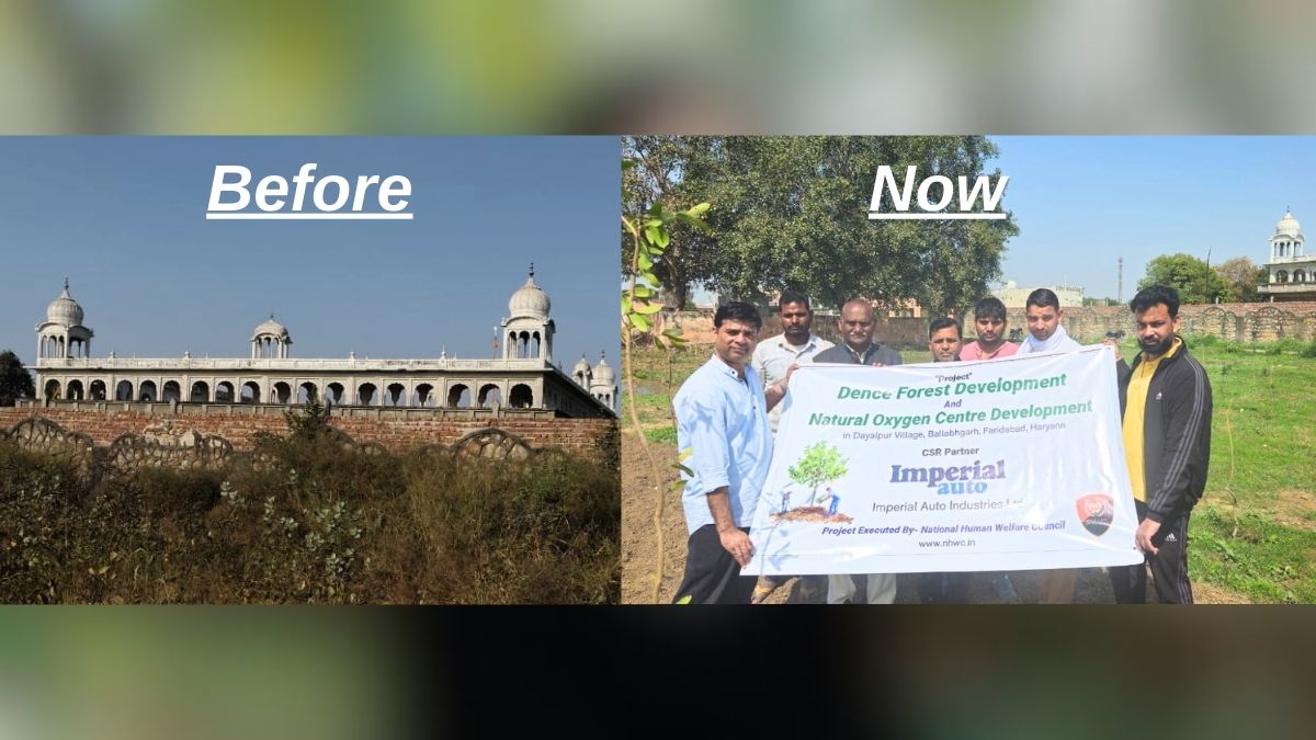 Tree plantation drive gains momentum in Dayalpur; 10,000 trees to be planted under CSR initiative