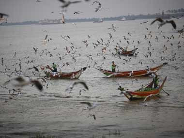 Bird Flu Alert in Uttar Pradesh!