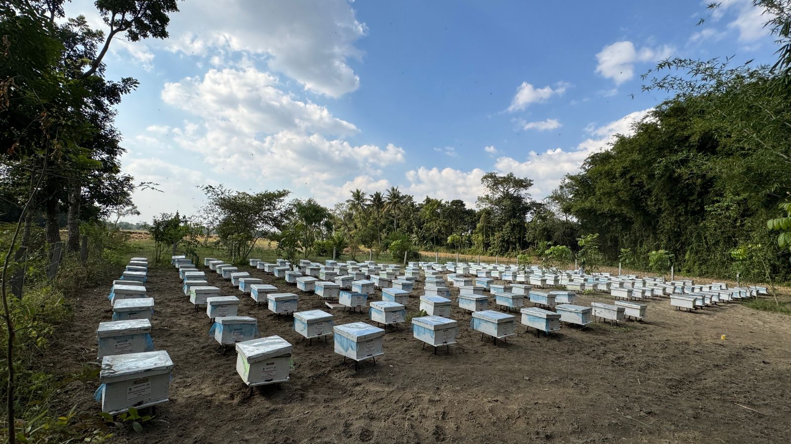 Madhepura DM Hails Ramganj Honeybee Project as North Bihar’s Emerging Model; Applauds Ramalaya Foundation and CSIR–NBRI for Scientific Impact