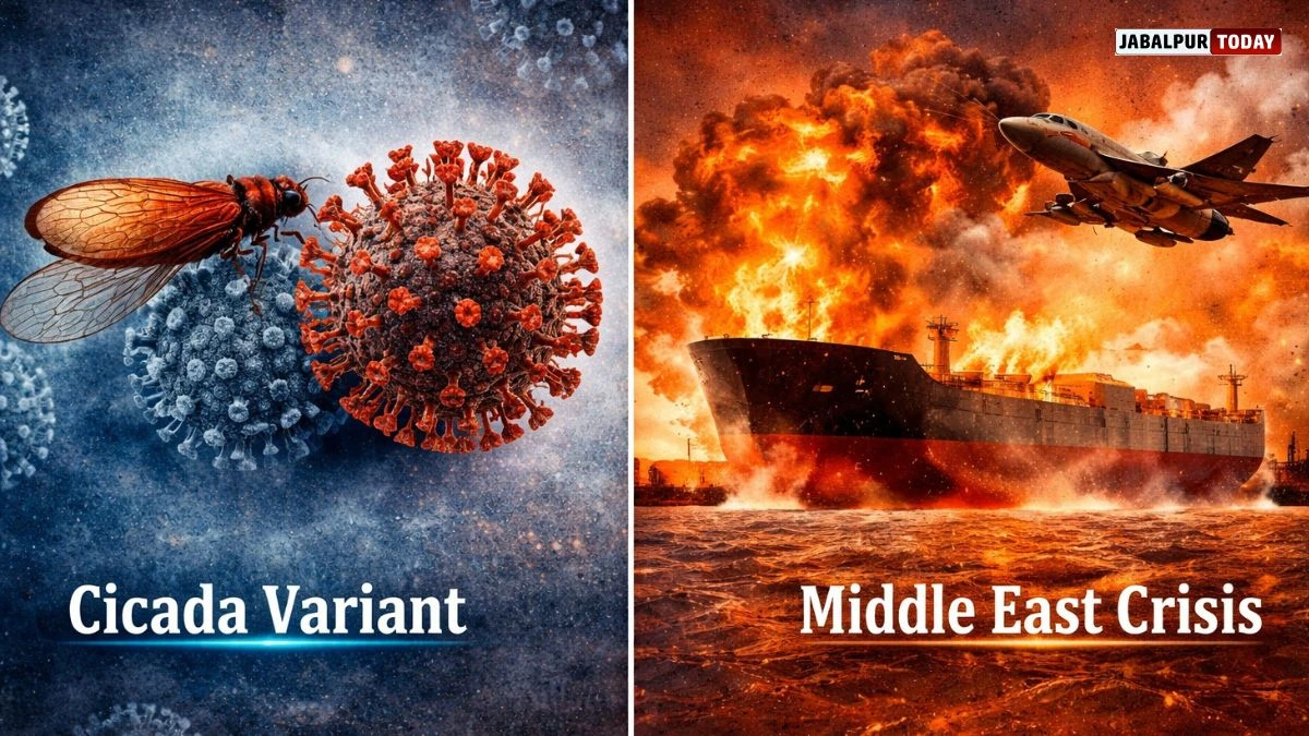 Lockdown 2.0: Cicada Variant or Oil Crisis Facts!