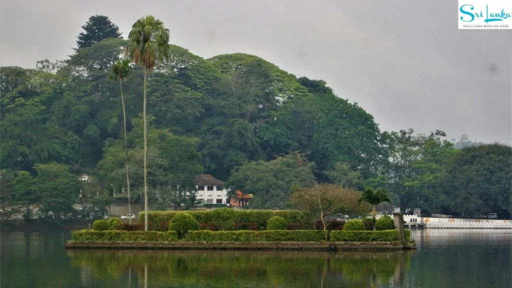 Sri Lanka Tourism Announces Exclusive Travel Trade Roadshow and Networking Evening in Rajkot on 17 June 2026